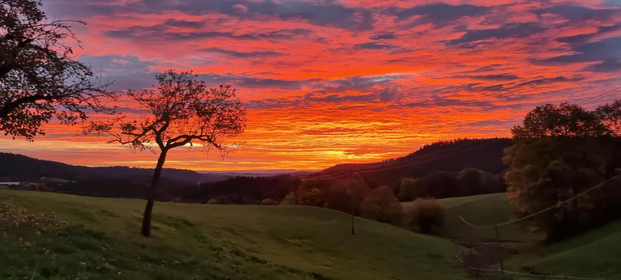Апартаменты Urlaub An Der Grenze Лаутербах Экстерьер фото