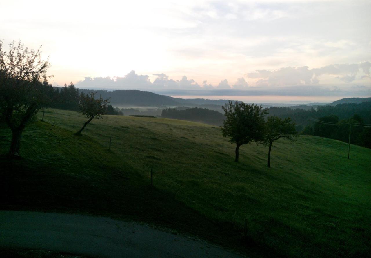 Апартаменты Urlaub An Der Grenze Лаутербах Экстерьер фото
