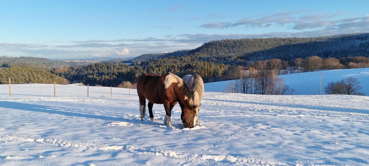 Апартаменты Urlaub An Der Grenze Лаутербах Экстерьер фото